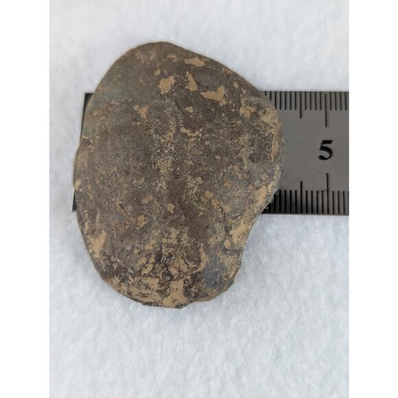 Dragon Stone Septarian slice fossil 41 x 55mm 35.5 grams Thunder egg NWOT - Picture 3 of 11